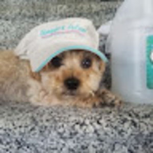 Meet your Posher, Joshua